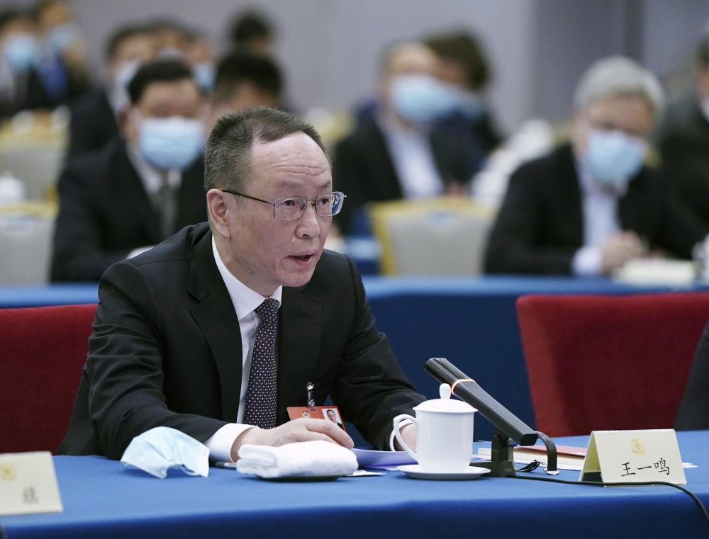 5月23日，全國政協(xié)委員王一鳴在經(jīng)濟界聯(lián)組會上發(fā)言。新華社記者　謝環(huán)馳　攝